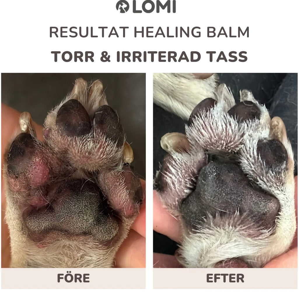 Healing Balm - For Dogs & Cats