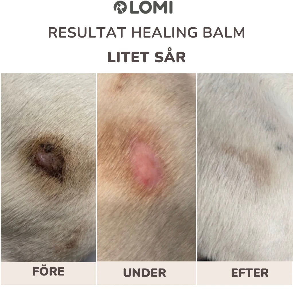 Healing Balm - For Dogs & Cats