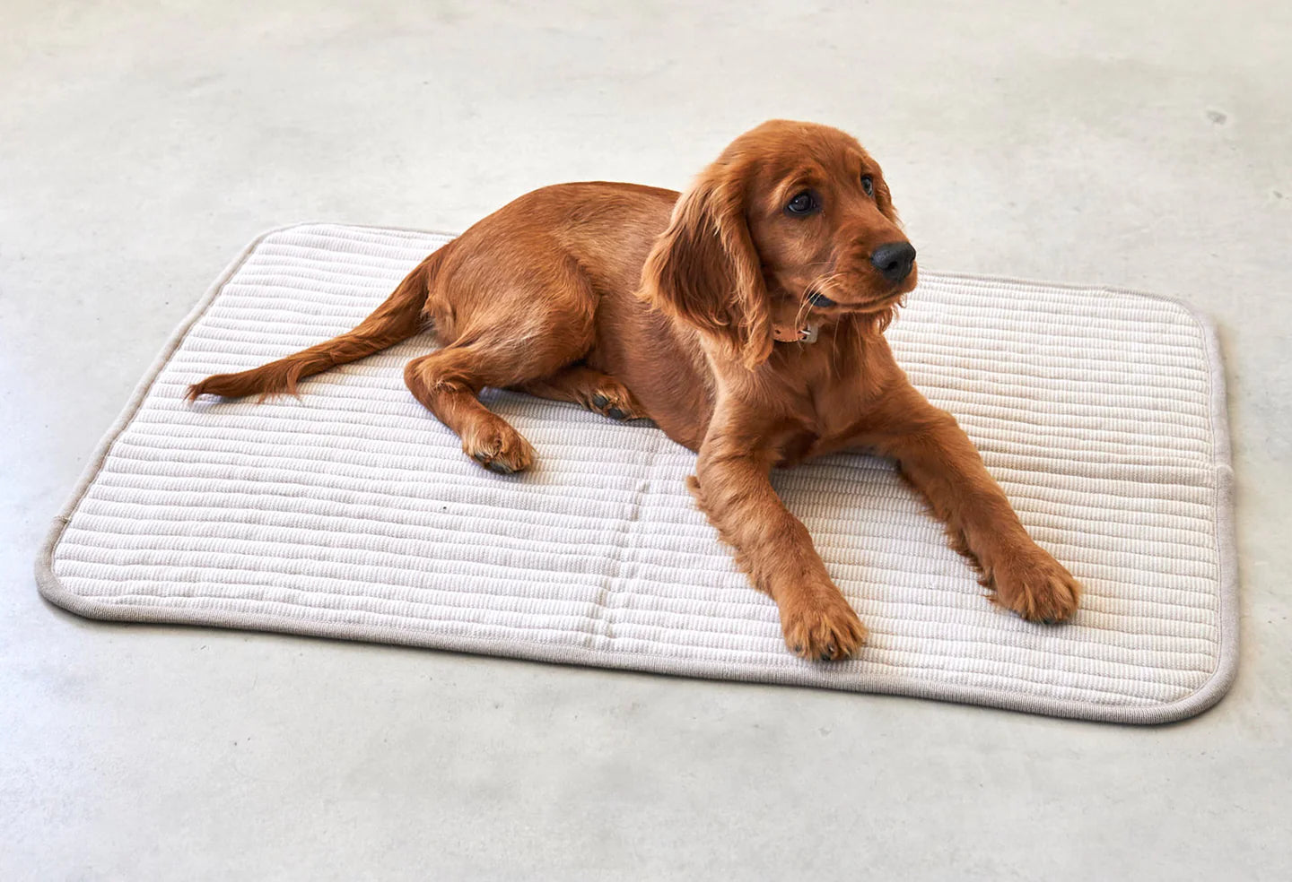 Onda knitted dog blanket greige