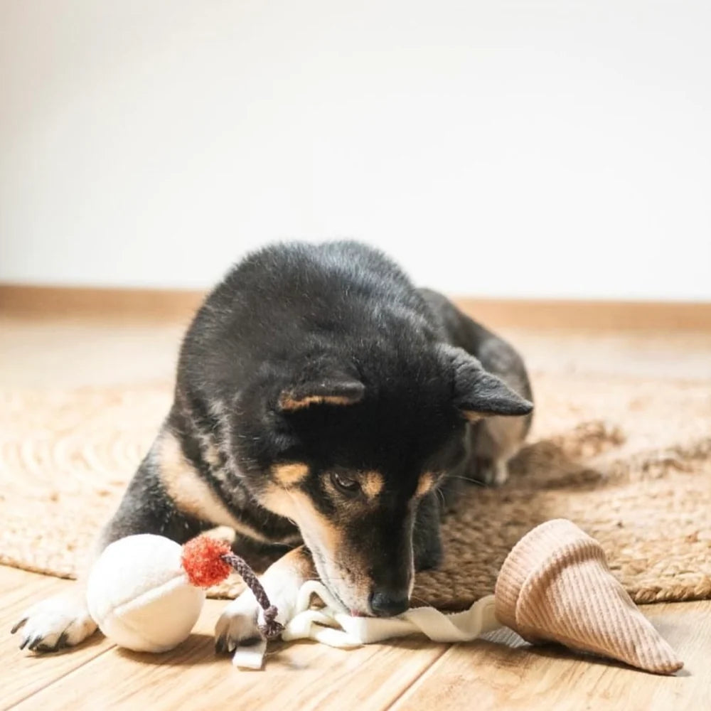 Ice Cream POP SNIFF TOY