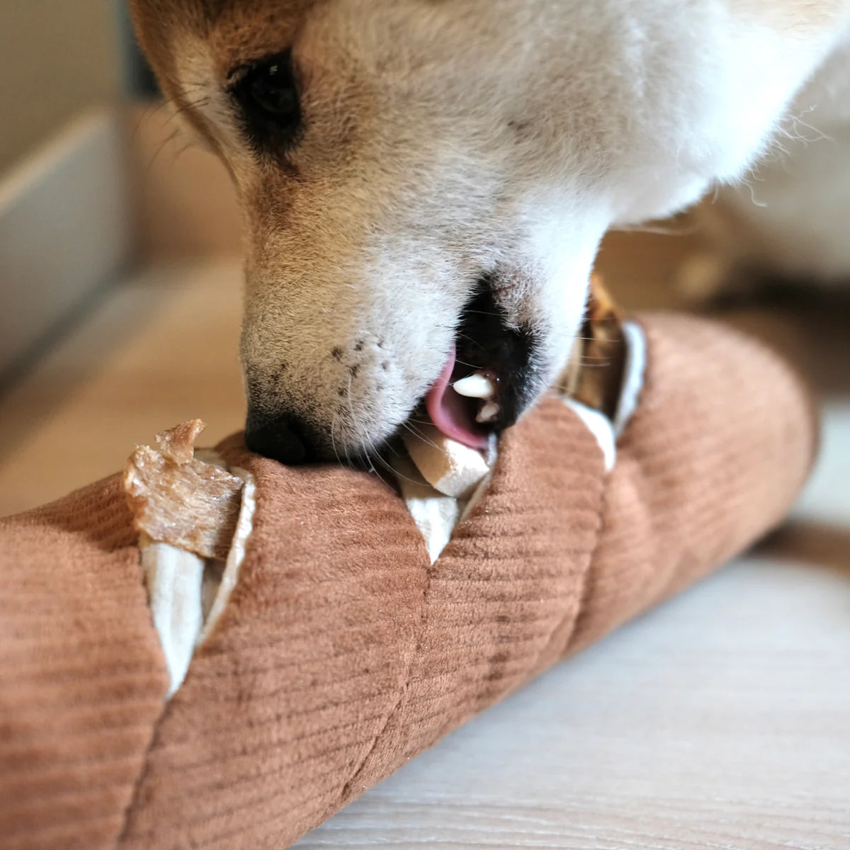 Baguette Sniff toy