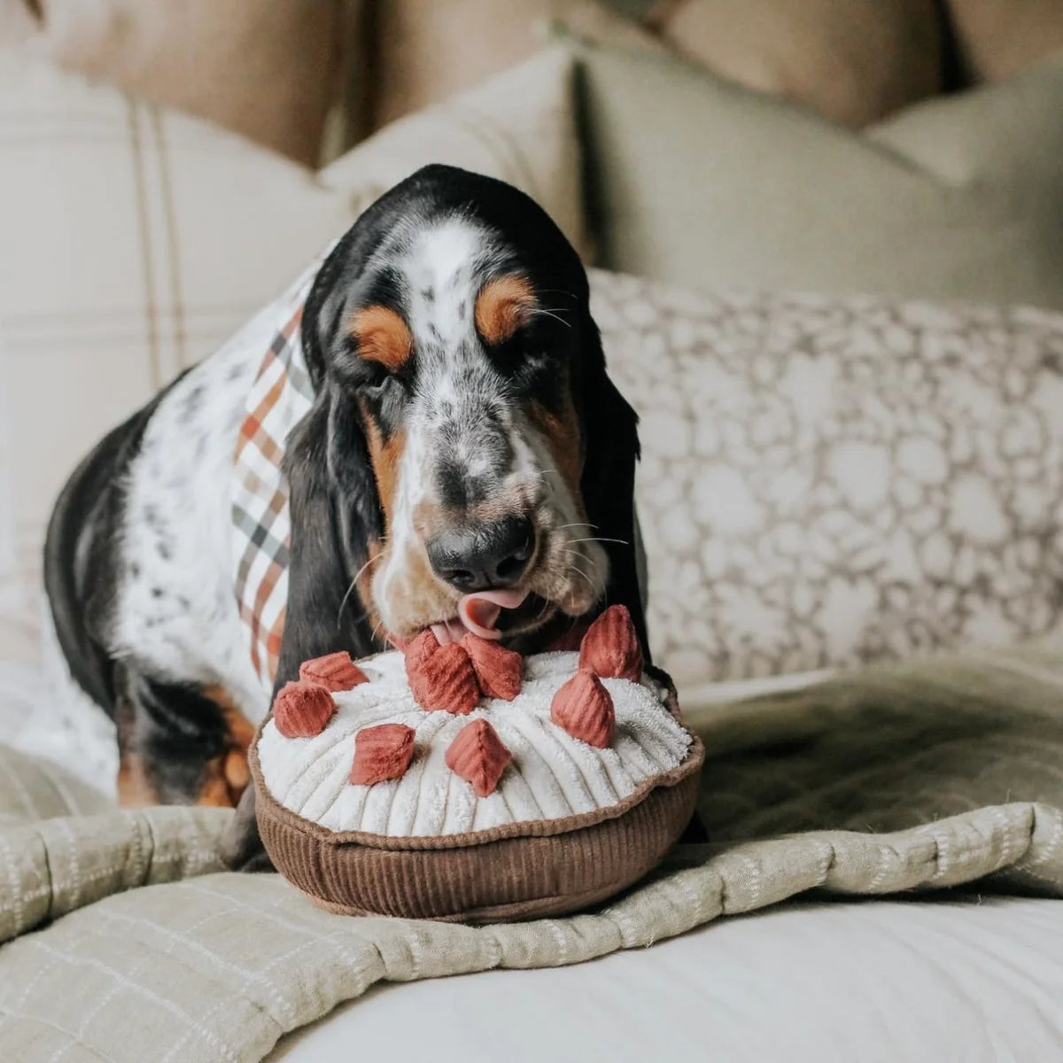 BERRY PIE Sniff toy