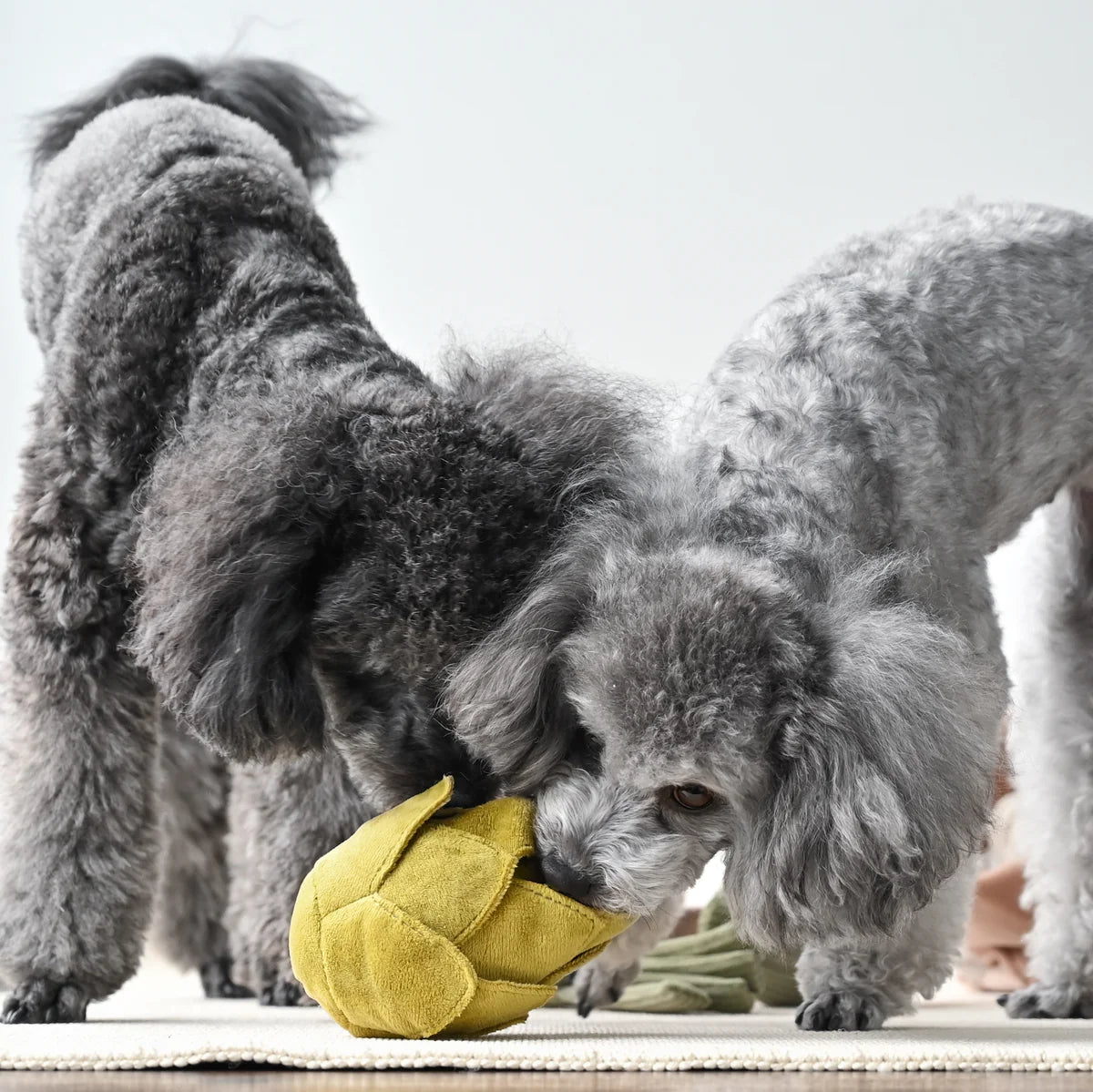 ARTICHOKE Snuffle toy