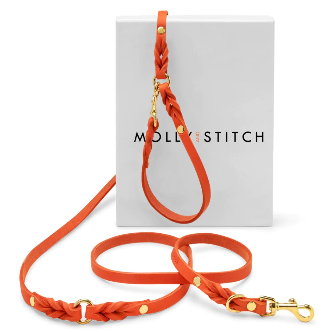 Butter leather 3X adjustable dog leash Mango