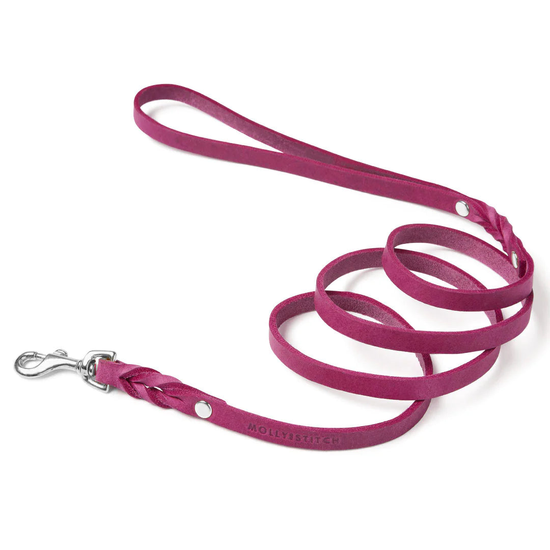 Butter leather city dog leash Flamingo