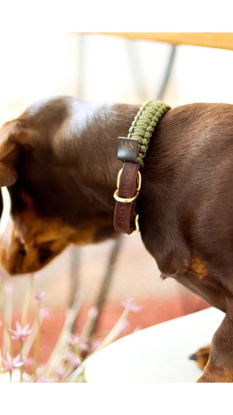 Touch of leather dog collar Military