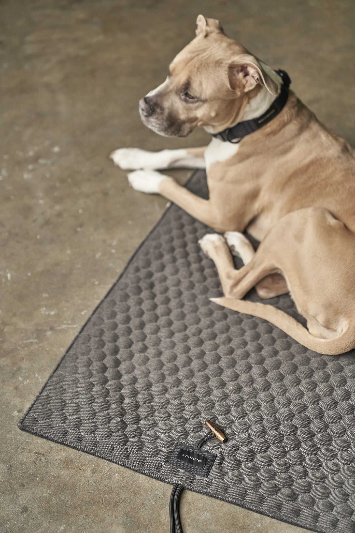 Honeycomb dog travel mat Grey