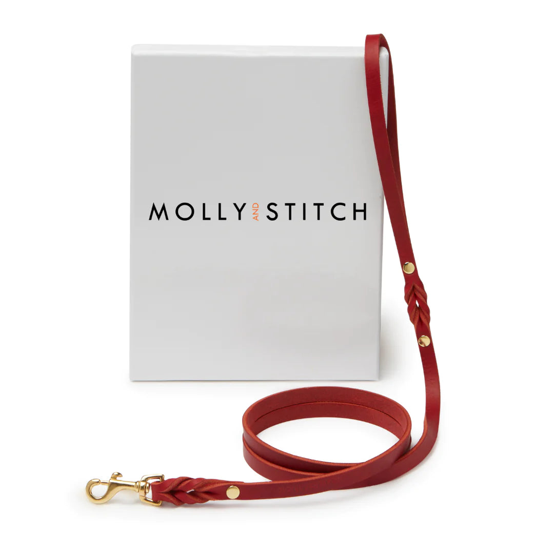 Butter leather city dog leash Chili Red