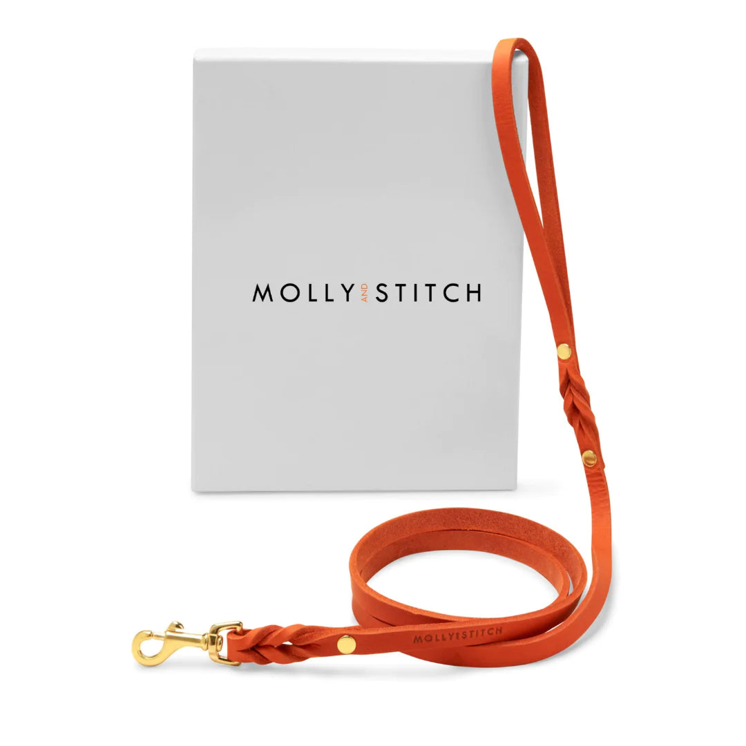 Butter leather city dog leash Mango