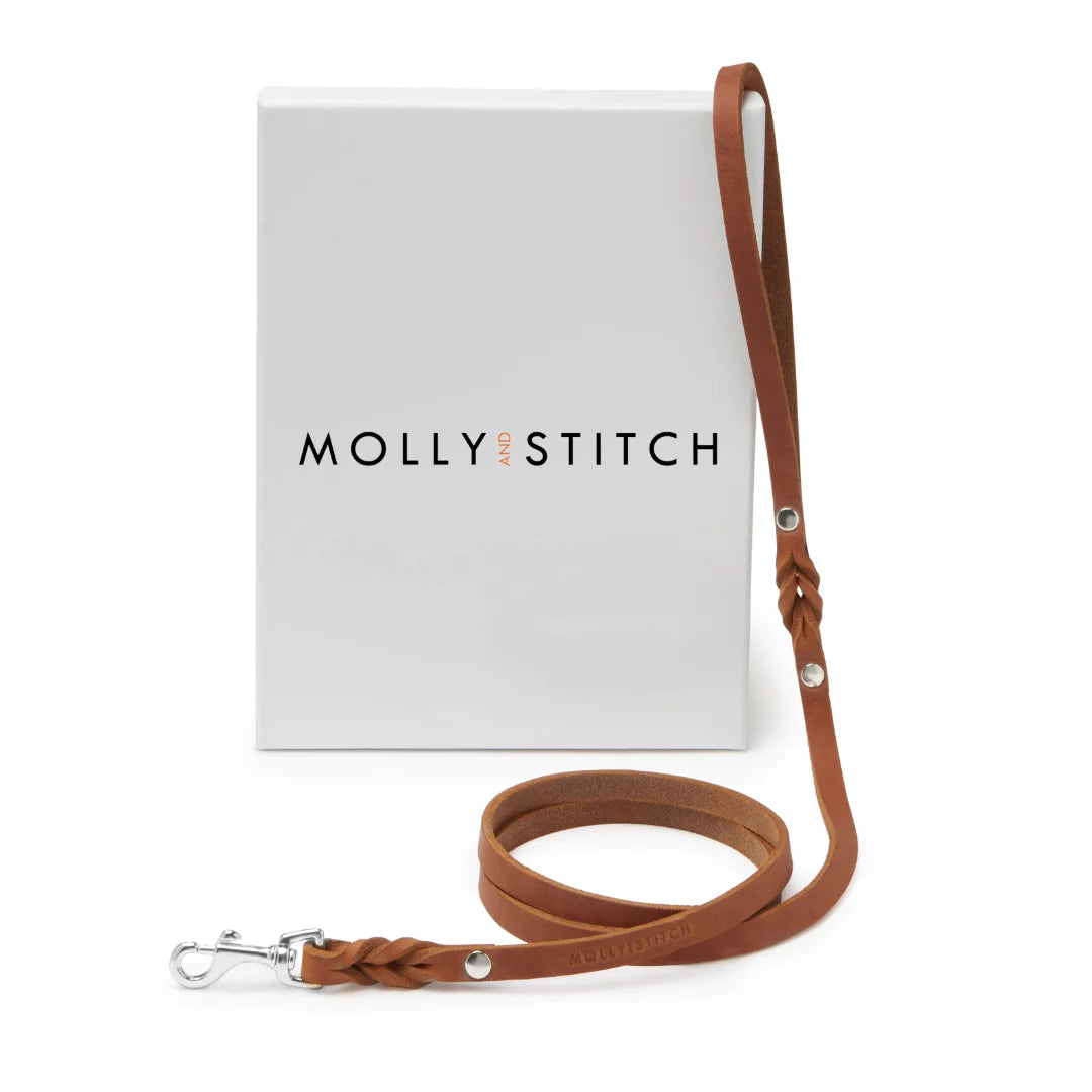 Butter leather city dog leash Sahara Cognac