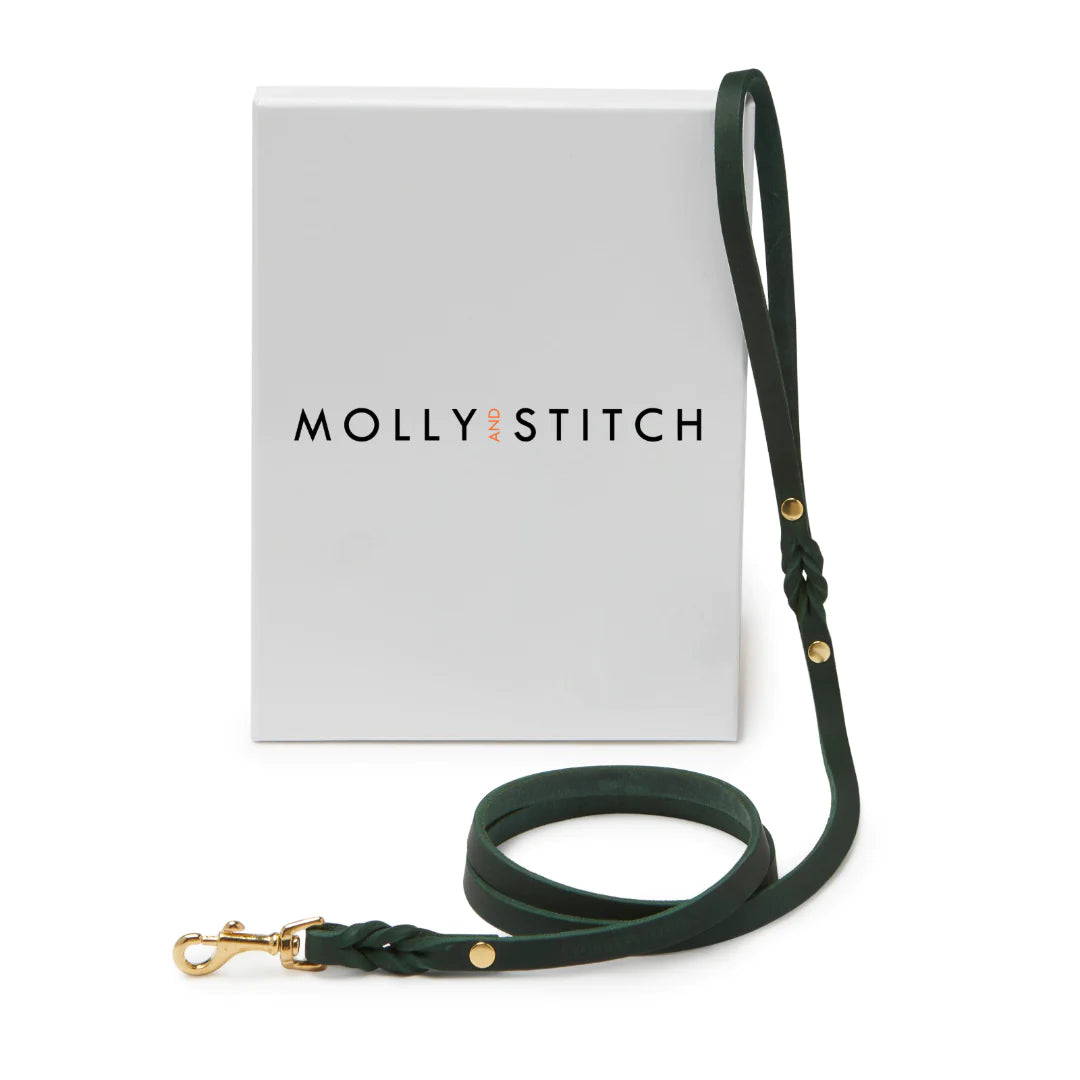 Butter leather city dog leash Forest Green