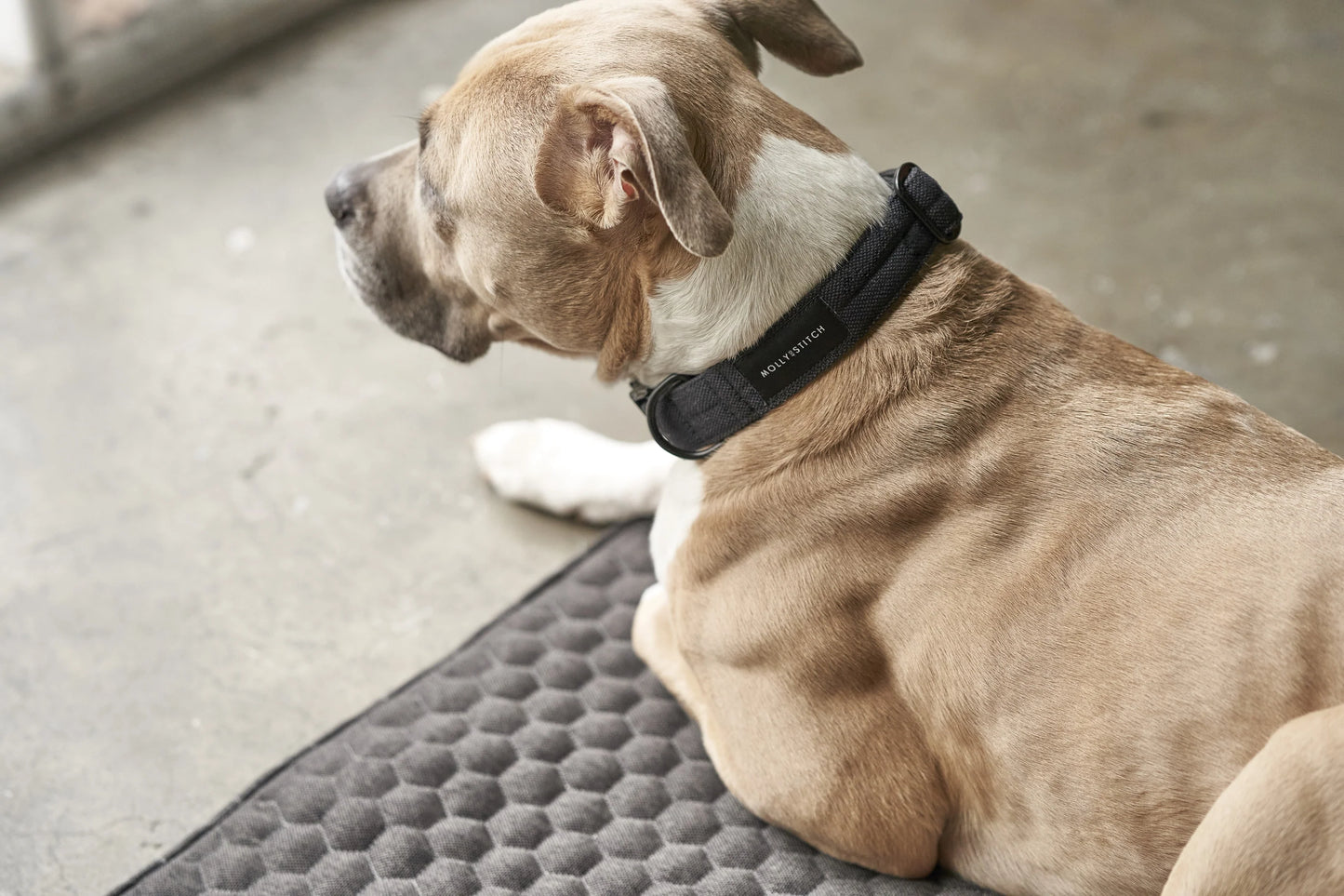 Honeycomb dog travel mat Grey