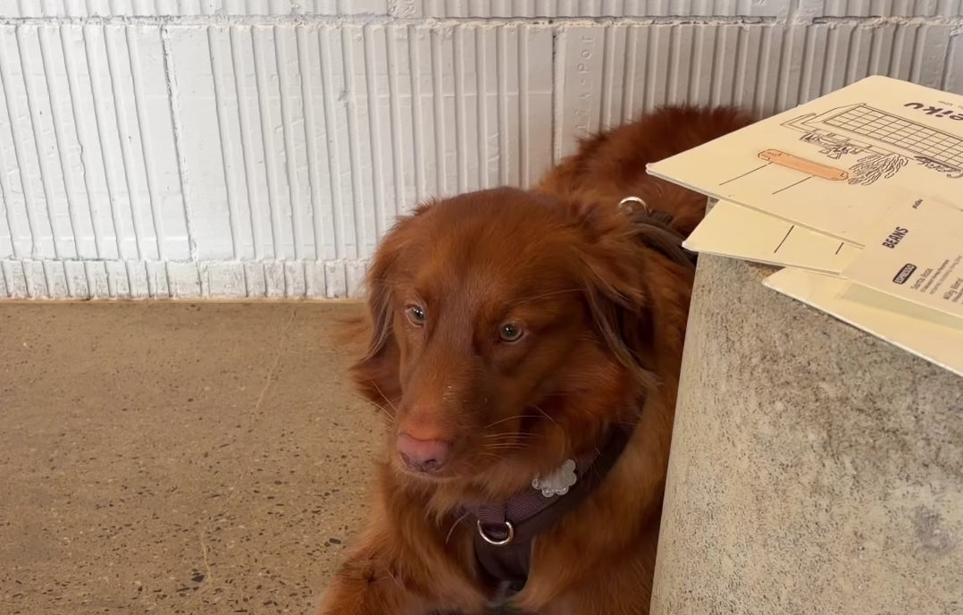 Load video: 