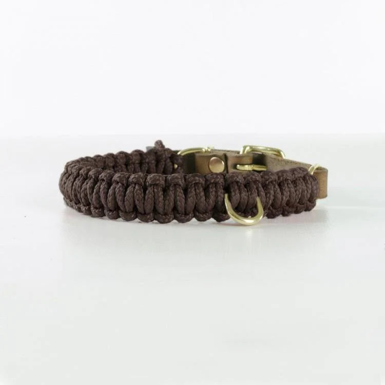 Touch of leather dog collar Chocolate