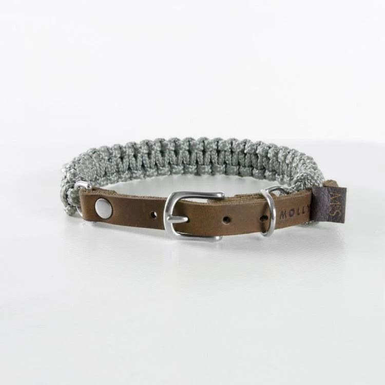 Touch of leather dog collar Grey