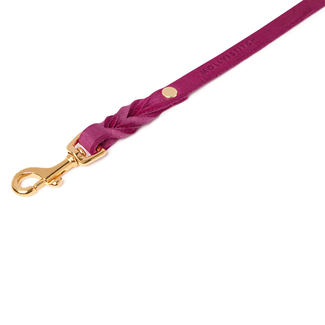 Butter Leather 3X adjustable dog leash Flamingo