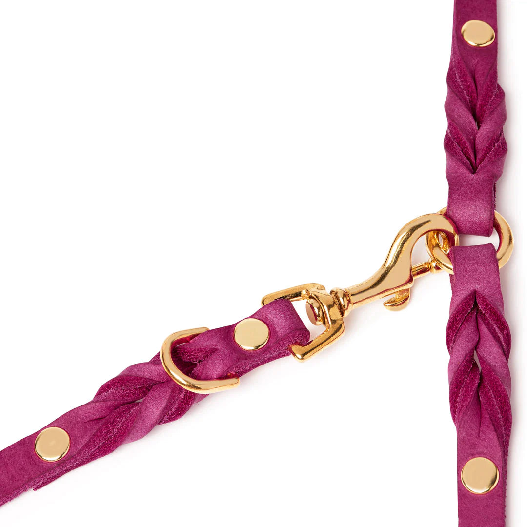 Butter Leather 3X adjustable dog leash Flamingo