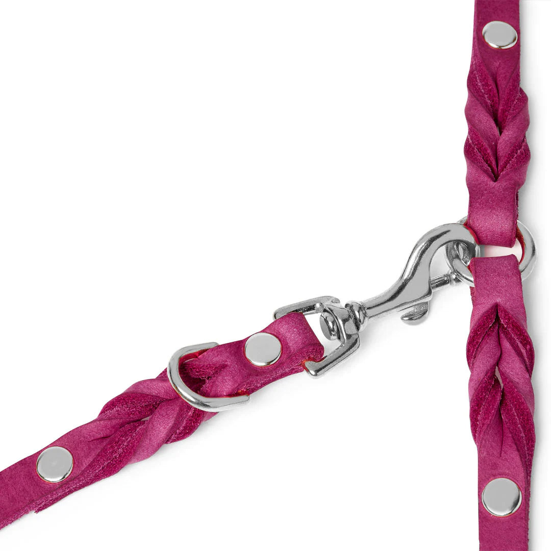 Butter Leather 3X adjustable dog leash Flamingo