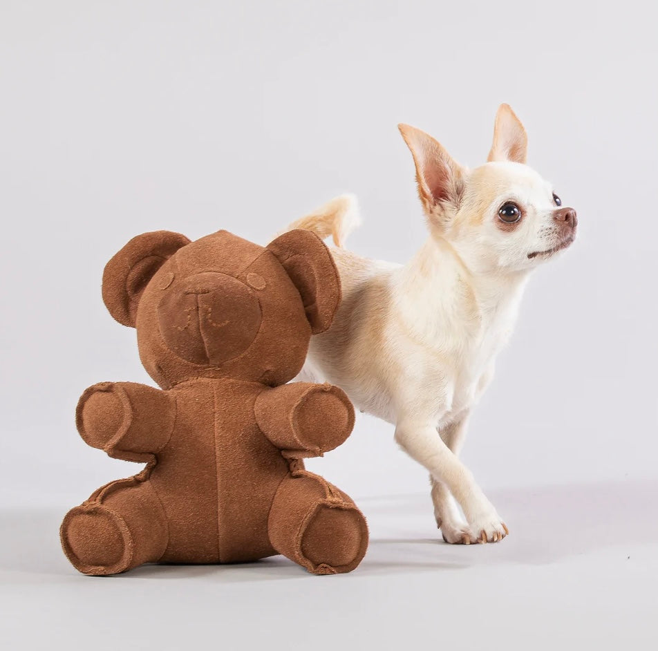 Teddy Toy for Dogs