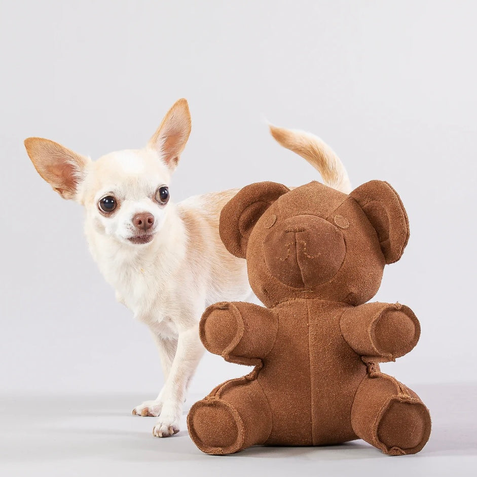 Teddy Toy for Dogs