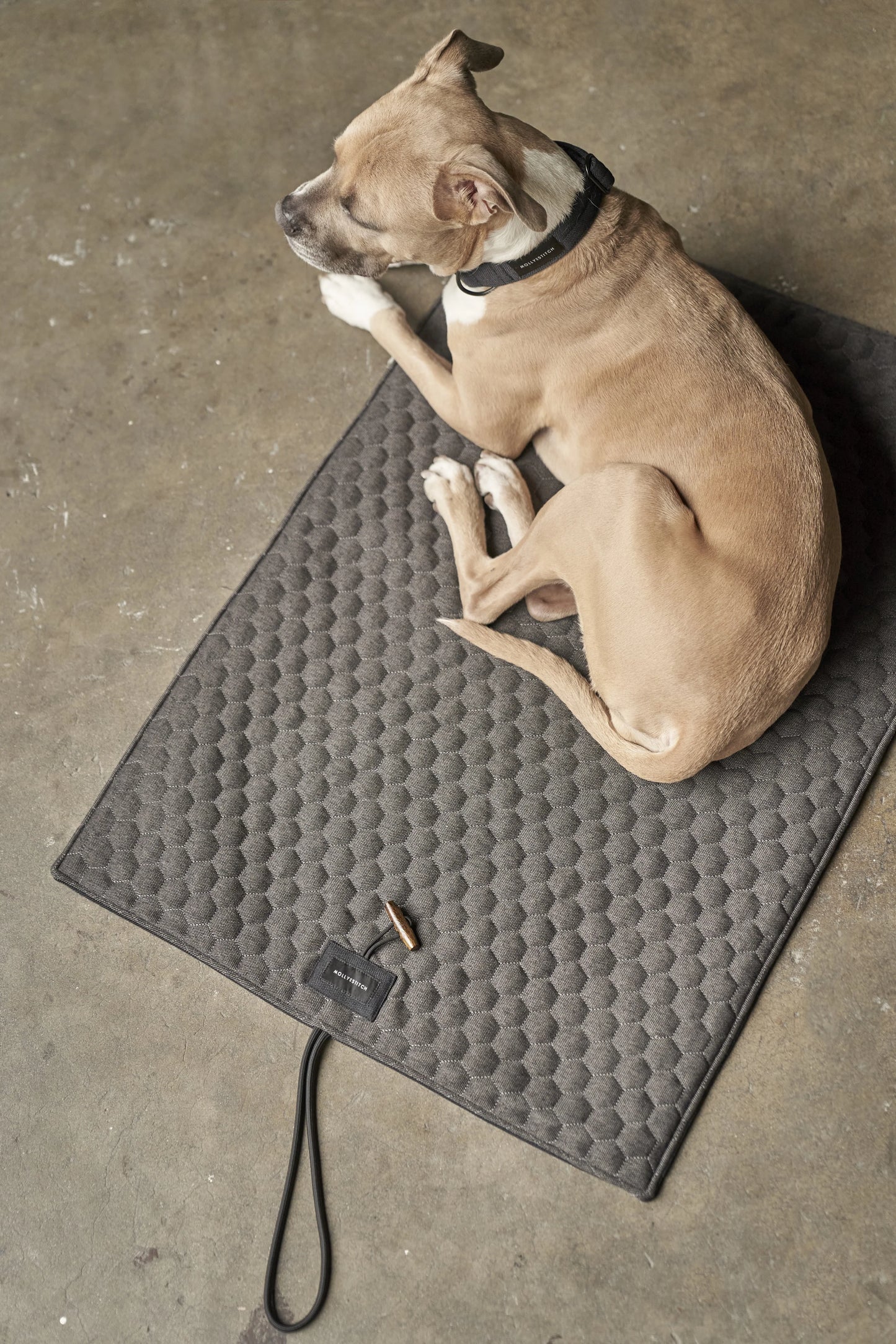 Honeycomb dog travel mat Grey